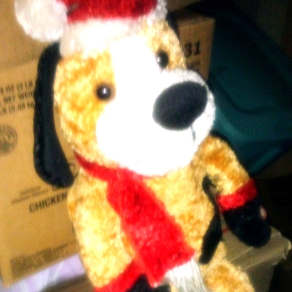 Singing " Christmas time " Dog - Picture 1 of 3